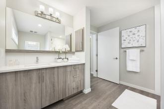 Odyssey Master Bathroom 2