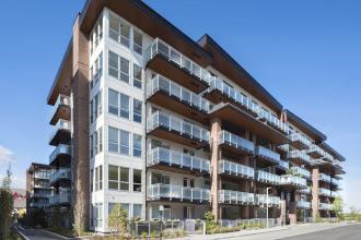 Calligraphy Building II