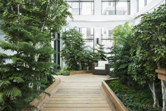 Village Centre  - Indoor Garden