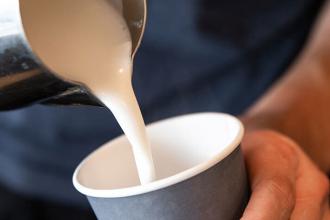 Retail Shops - Analog Coffee