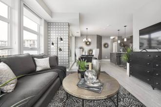 Calligraphy - Living Room 2