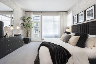 Reflection Master Suite 2