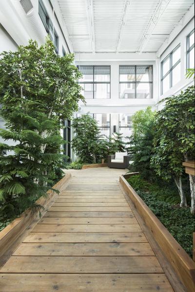 Village Centre  - Indoor Garden